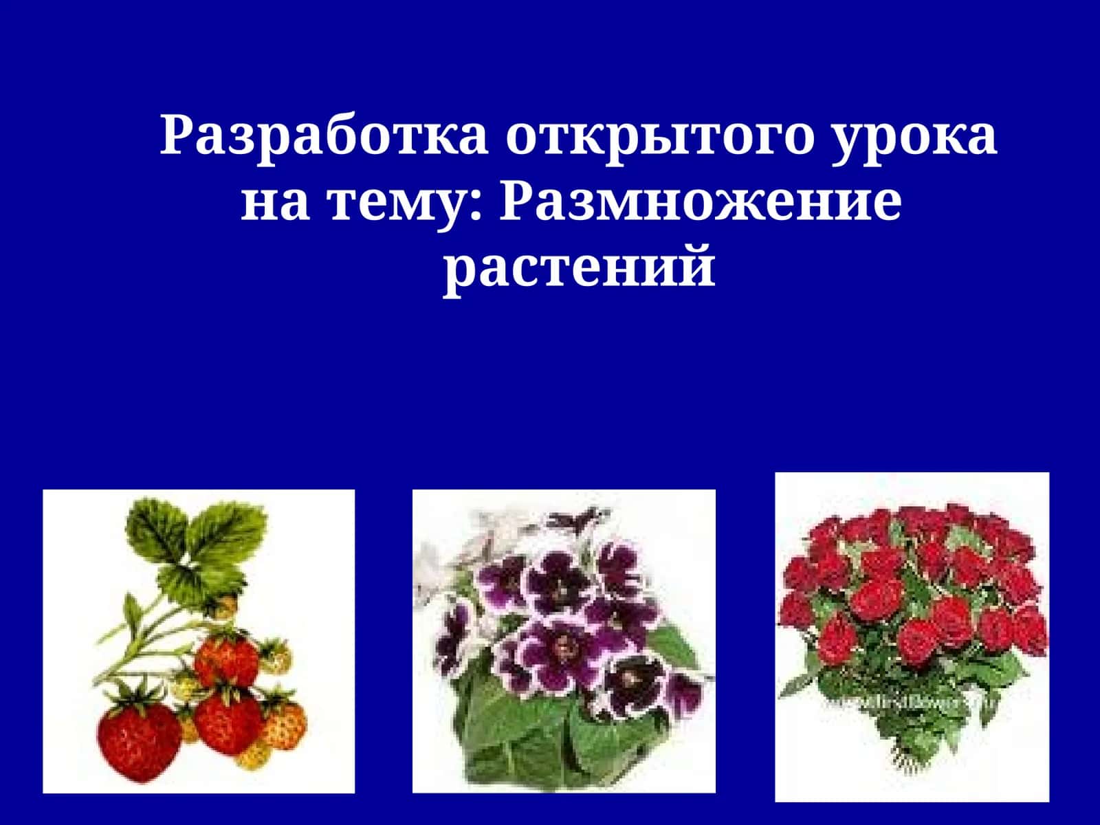 Разработка открытого урока на тему: Размножениерастений 1