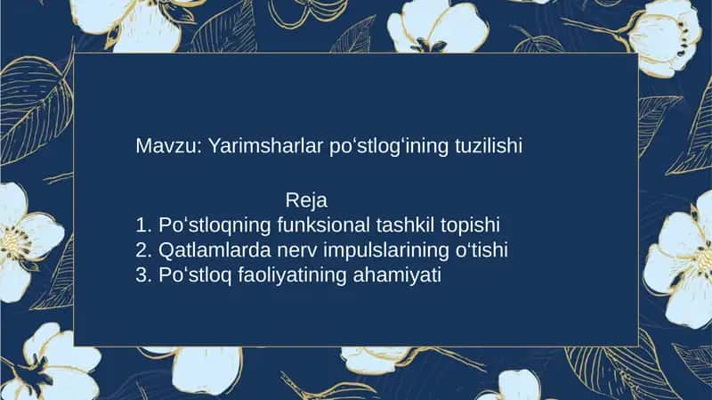Yarimsharlar poʻstlogʻining tuzilishi 1