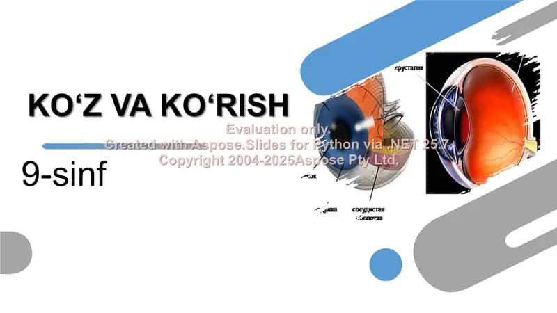 KO‘Z VA KO‘RISH 1