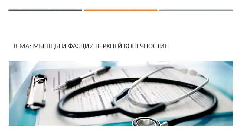 Мышцы и Фасции ВерхнейКонечности 1