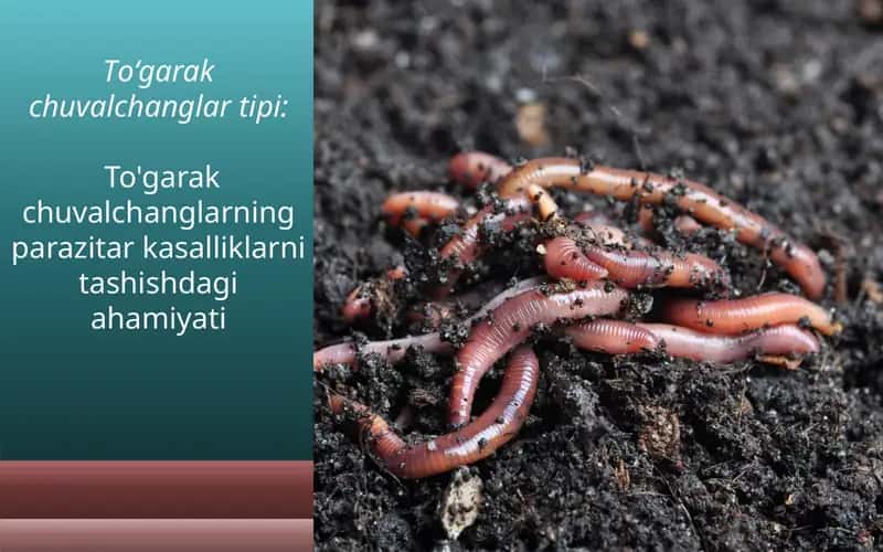 To‘garakchuvalchanglar 1