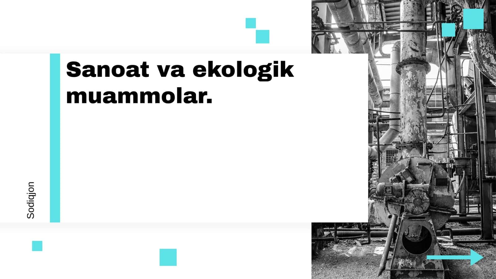 Sanoat va ekologik muammolar 1