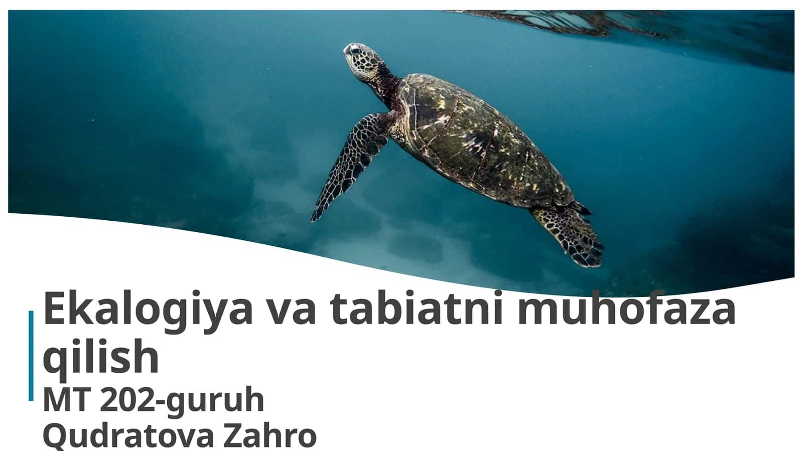 Ekologiyakursining maqsadi, vazifalari, tarixi. Tabiat va jamiyat o’rtasidagi munosabatlar. Populyatsiyalarekologiyasi 1
