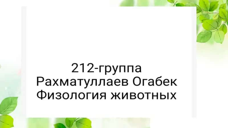 Влияние содержание и кормление животных на количество и качество молоко 1