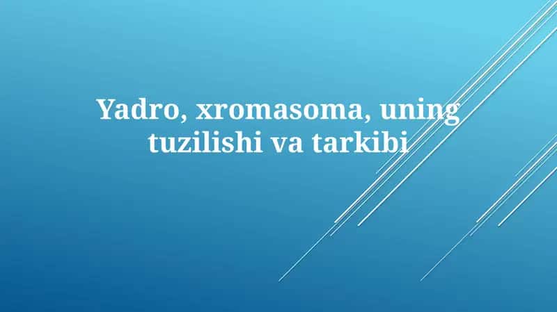 Yadro 1