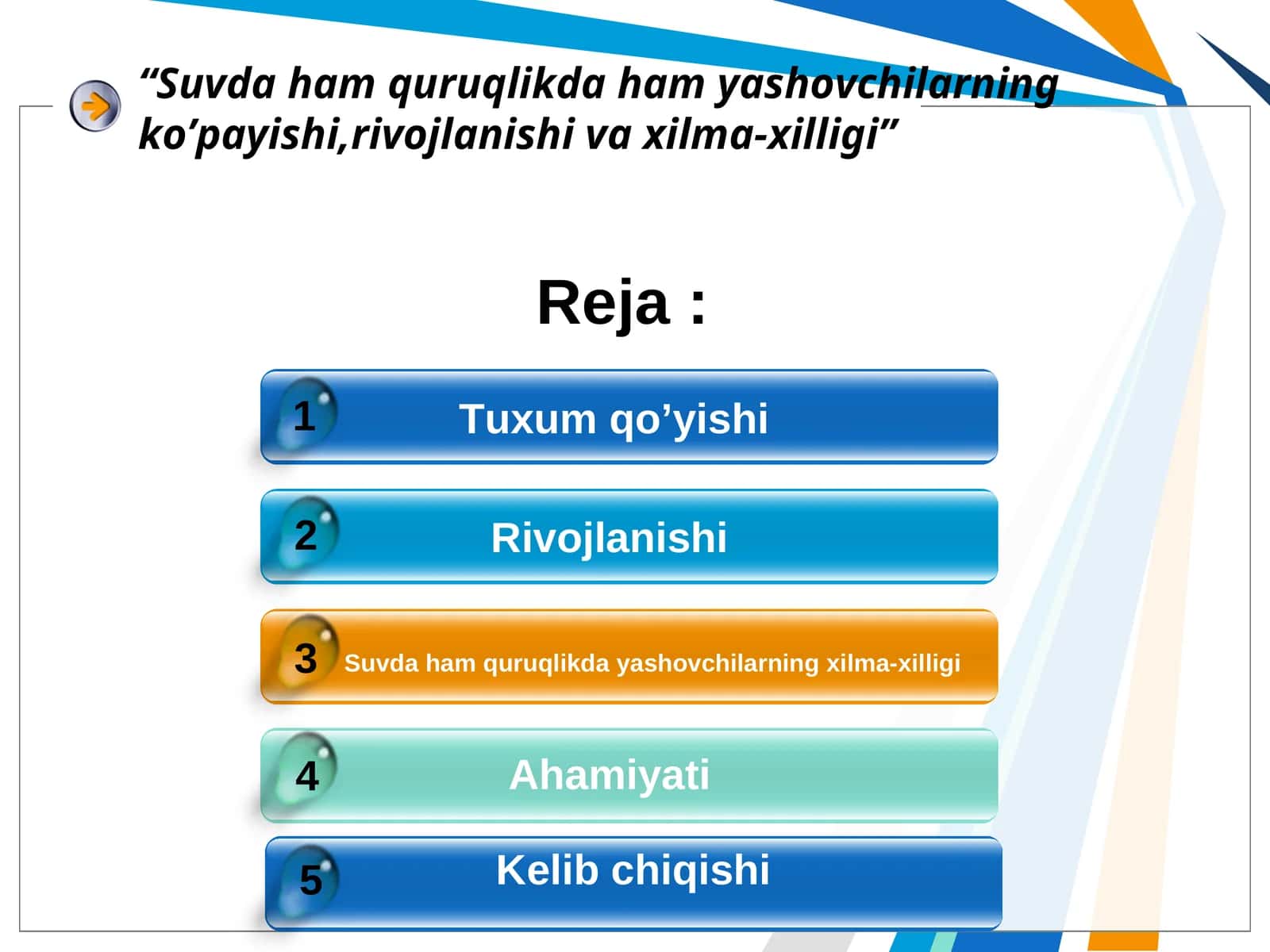 Tuxum qo’yishi 1
