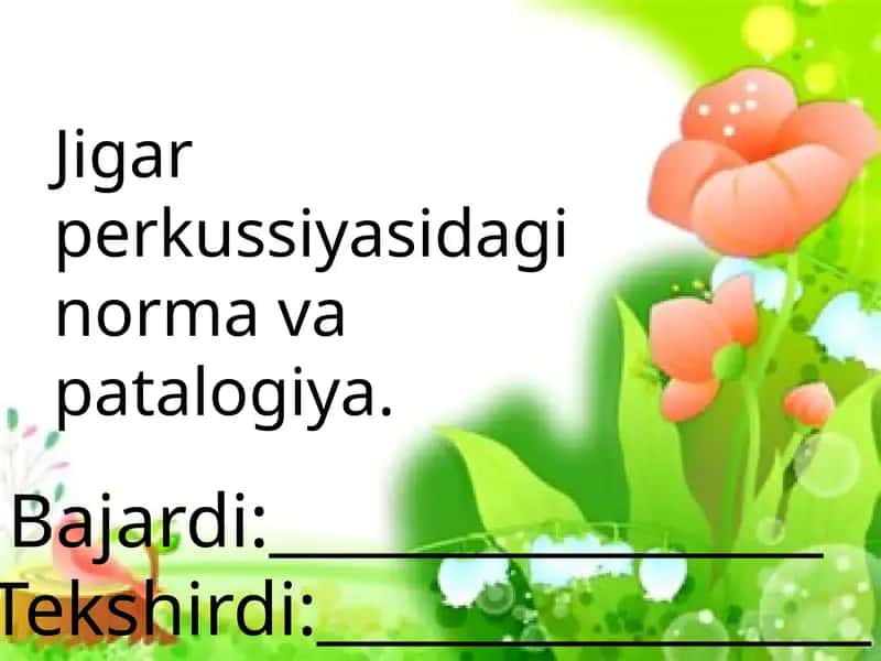 Jigar perkussiyasidagi norma va patalogiya 1