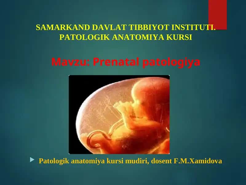 SAMARKAND DAVLAT TIBBIYOT INSTITUTI. PATOLOGIK ANATOMIYA KURSI 1