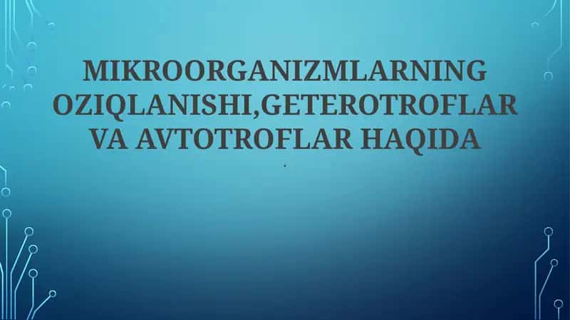 Geterotrof va Avtotroflarning Ekologik Rollari 1