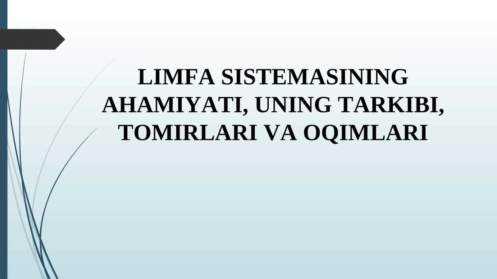 Limfa sistemasi: organizmning muhim qismi 1