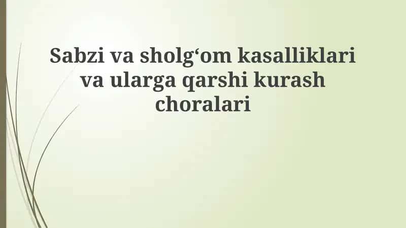 Sabzivasholgʻom kasalliklari va ularga qarshi kurash choralari 1