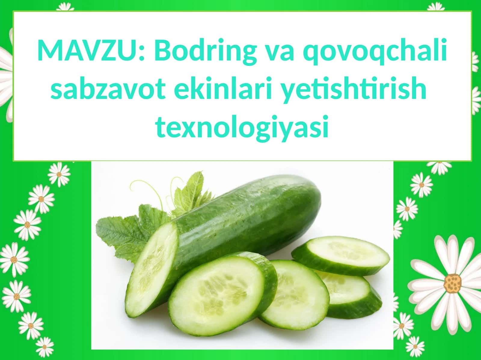 Bodring va qovoqchali sabzavot ekinlari yetishtirish texnologiyasi 1