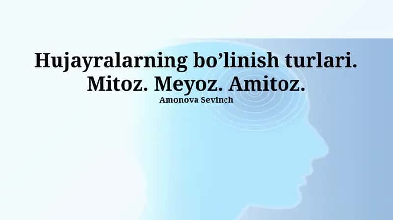 Mitoz 1