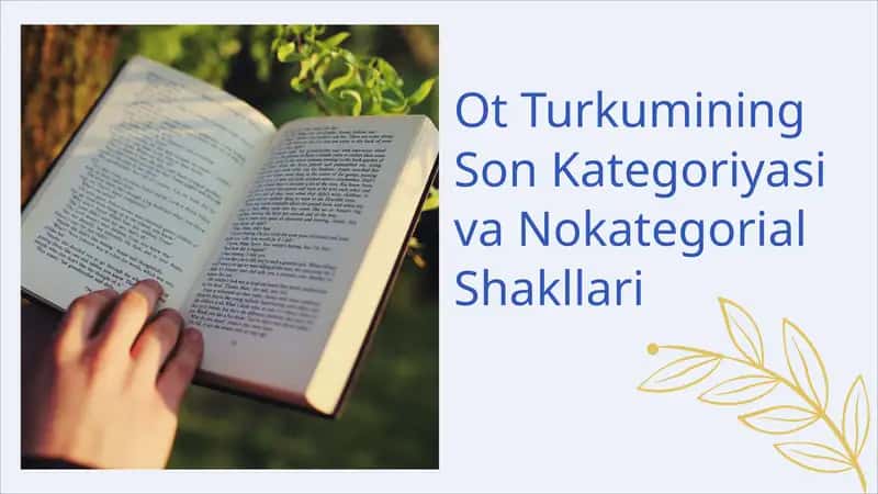 Ot Turkumining Son Kategoriyasi va Nokategorial Shakllari 1