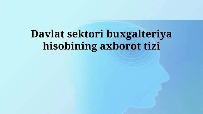 Davlat sektori buxgalteriya hisobiningaxborottizi 1