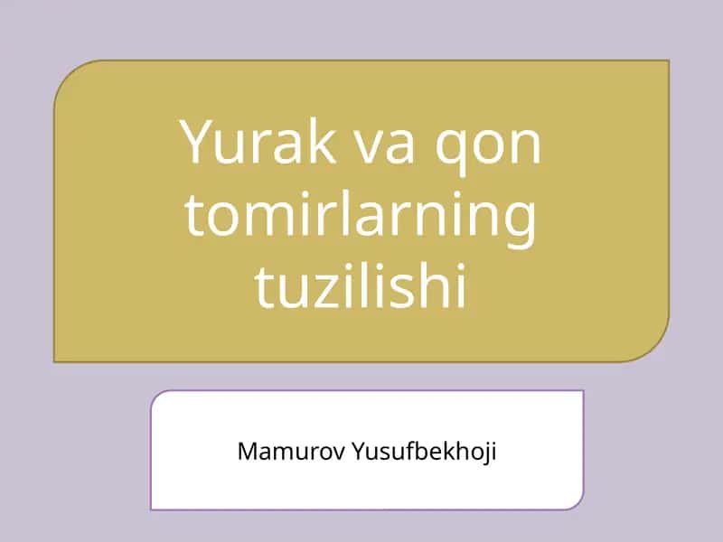 Yurak va qon tomirlarning tuzilishi 1