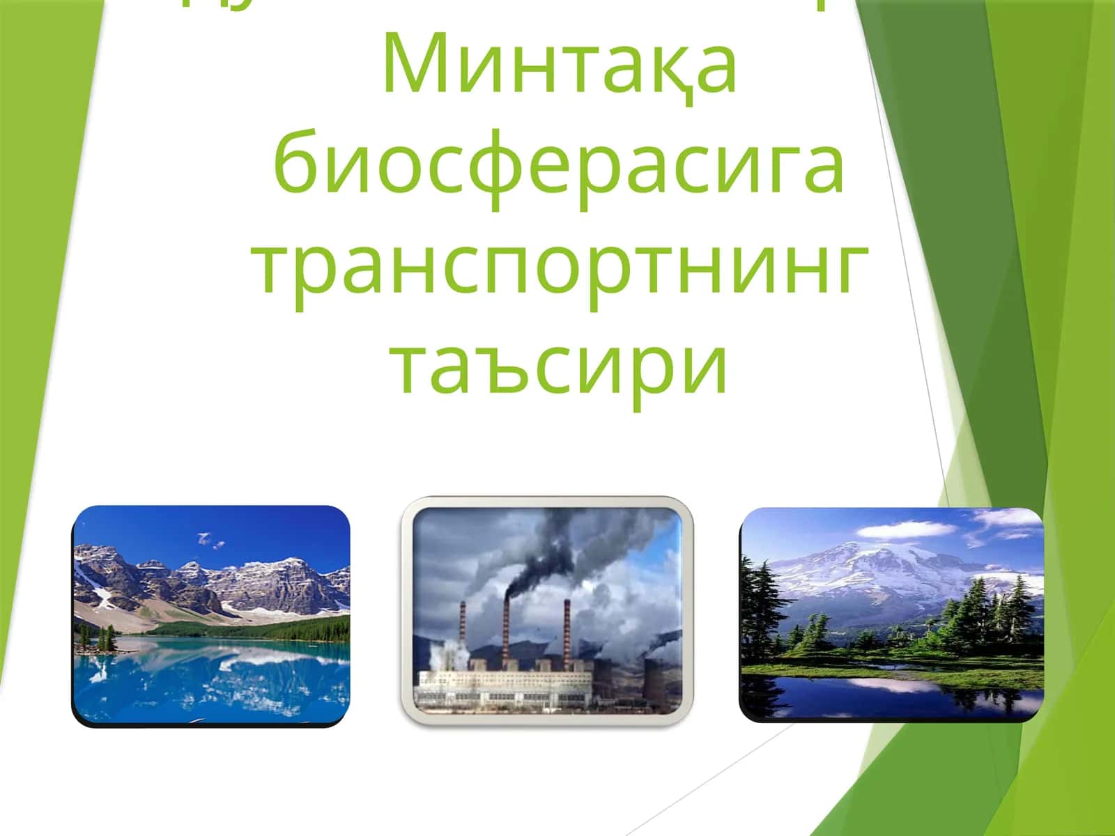 Чўлланиш жараёни: ўсимликлар дунёсига таъсири 1