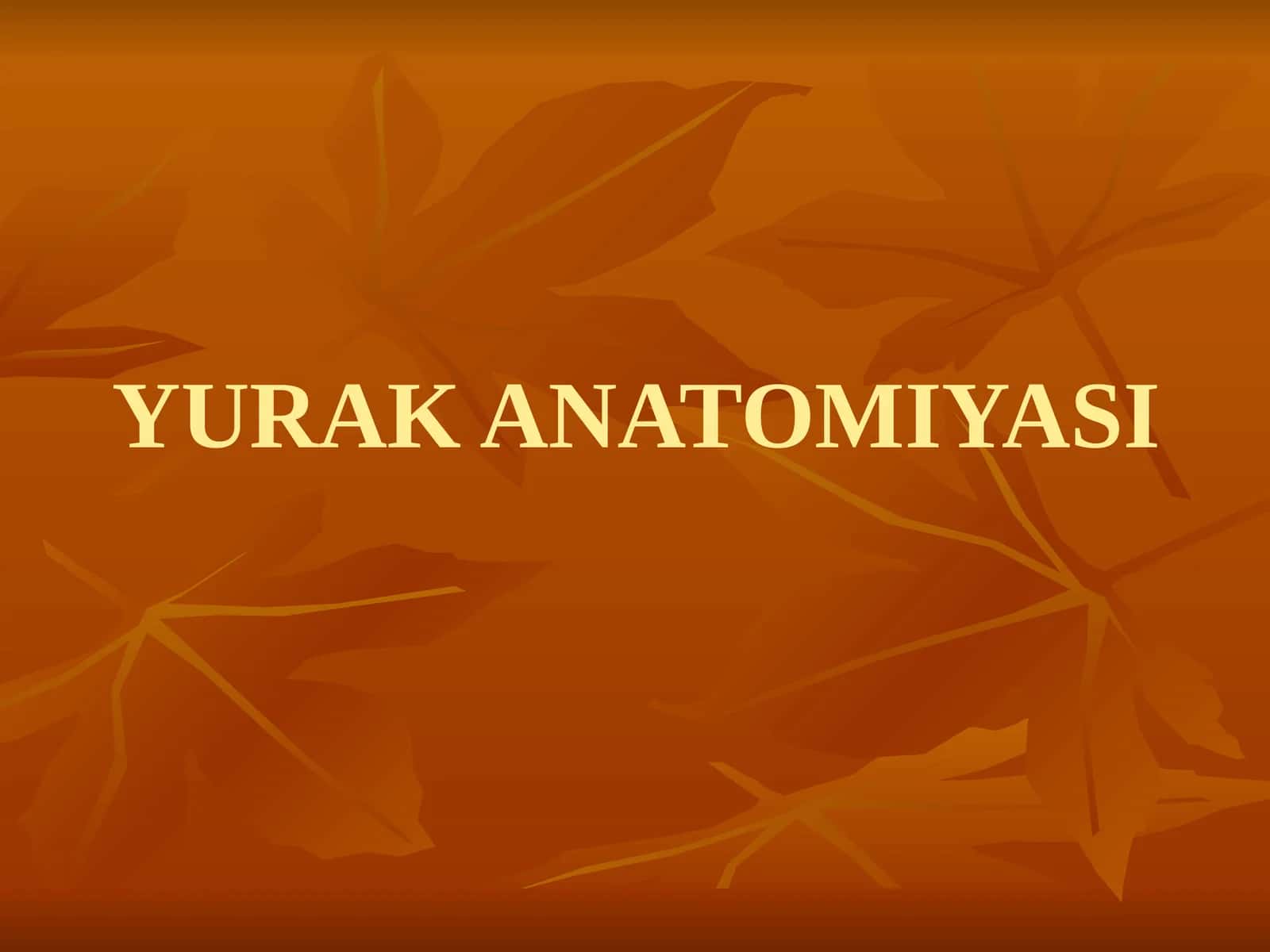 YURAK ANATOMIYASI 1