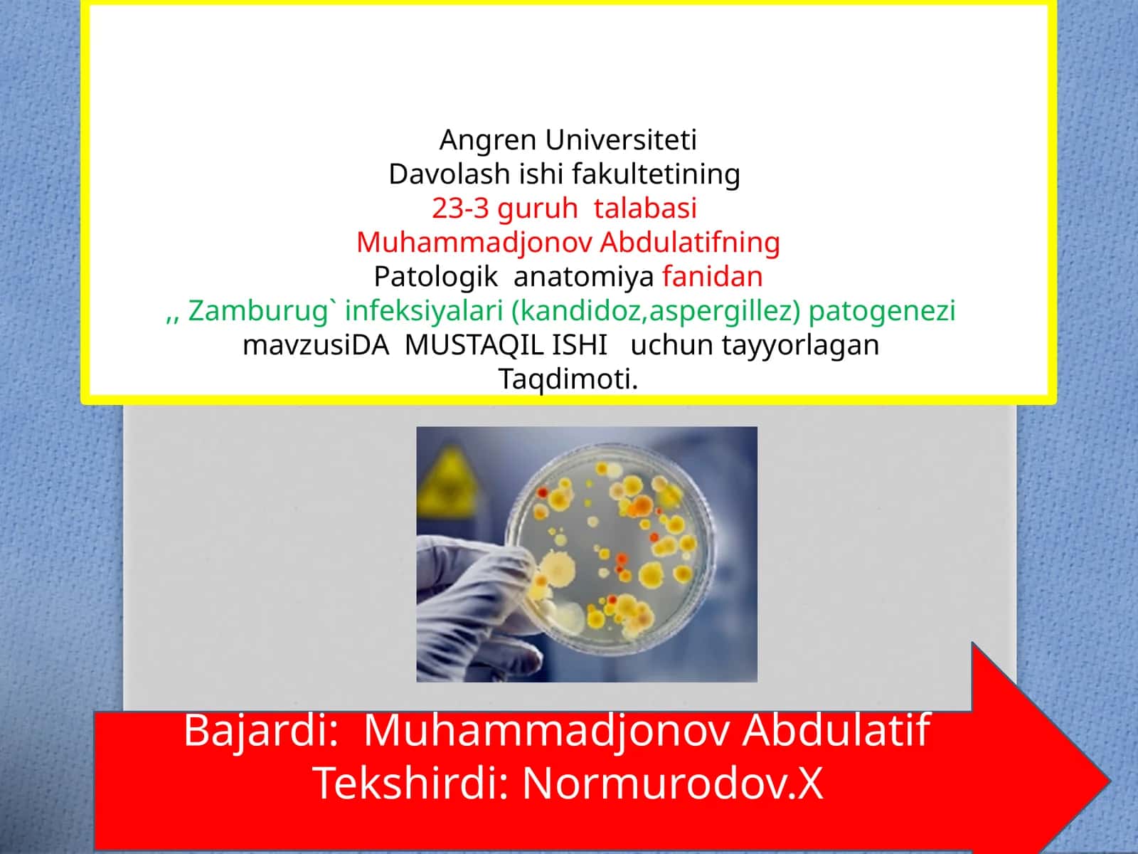 Zamburug` infeksiyalari 1