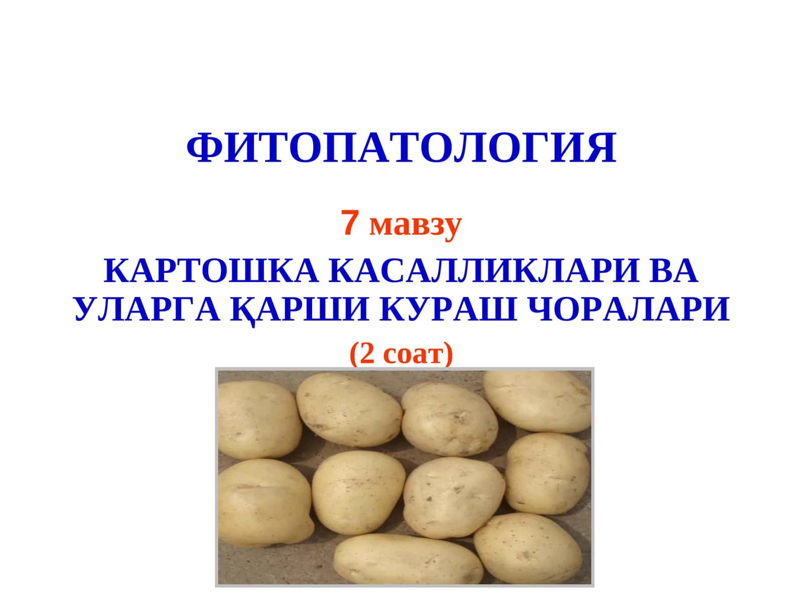 Картошка касалликлари ва уларга қарши кураш чоралари 1