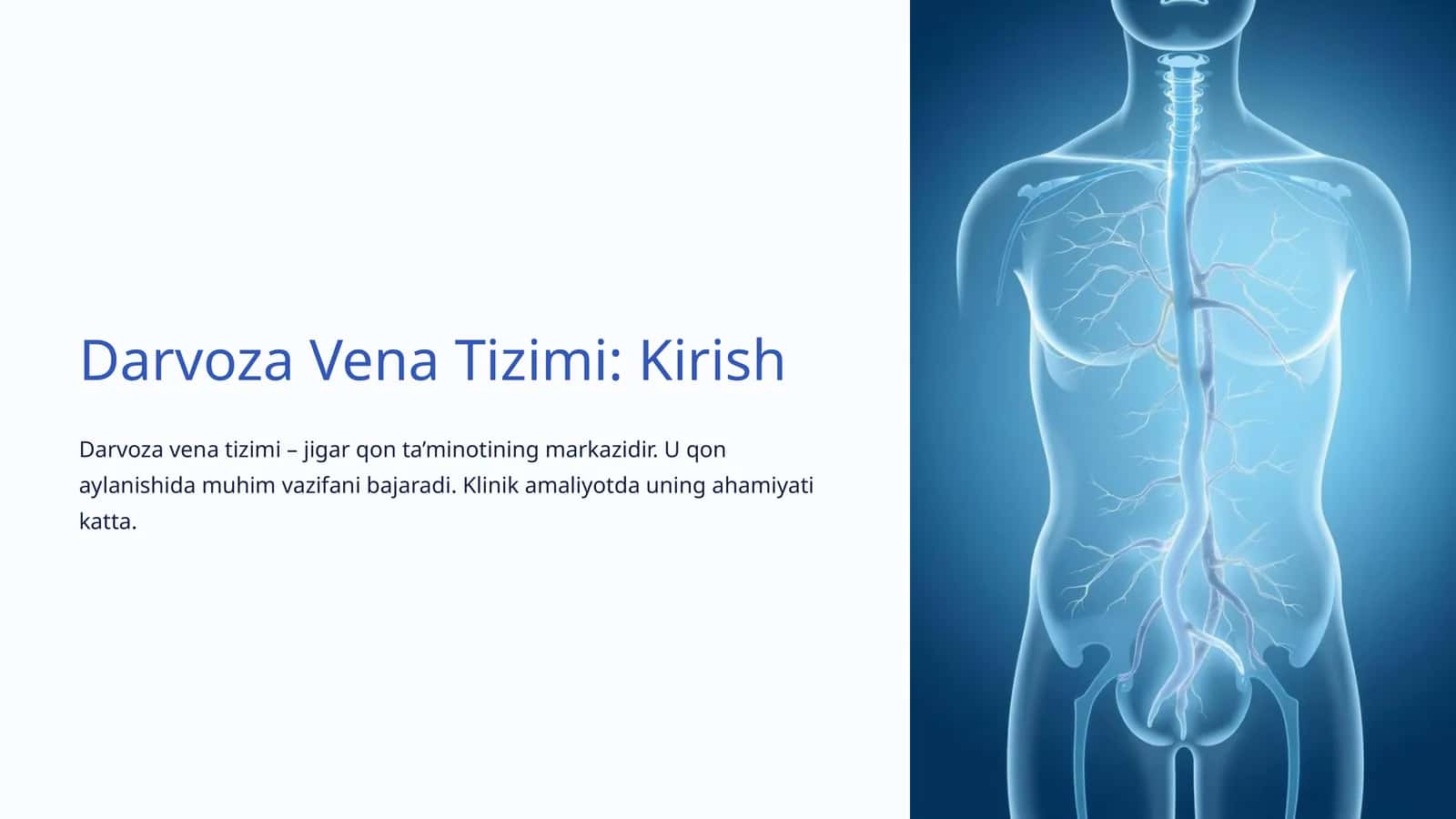 Darvoza Vena Tizimi: Kirish 1
