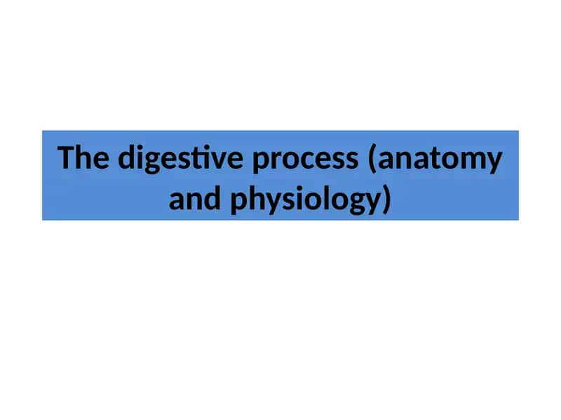 The digestive process (anatomy and physiology) 1