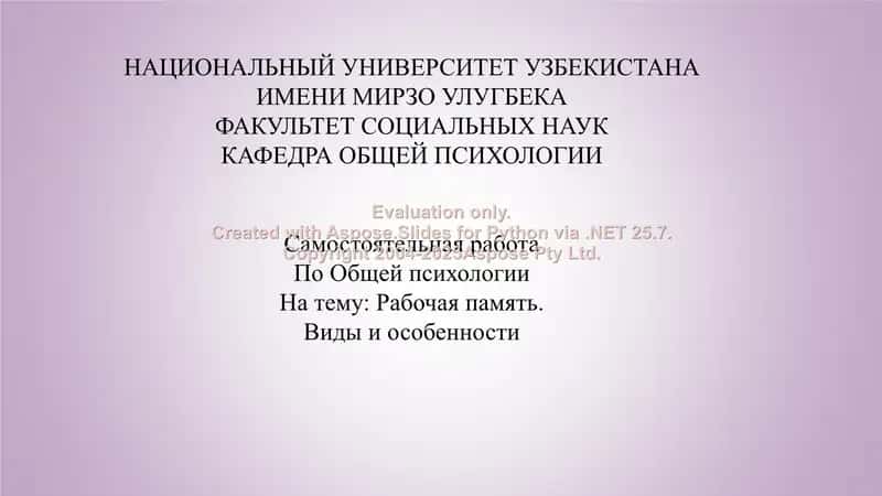 Рабочая память.  Виды и особенности 1