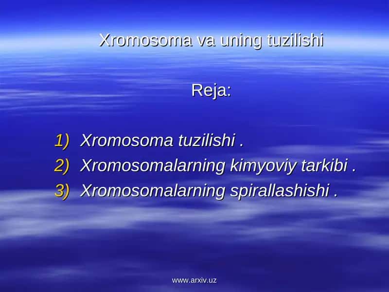 Xromosoma va uning tuzilishi 1