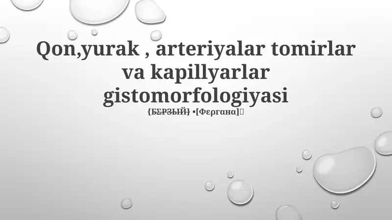 Qon,yurak, arteriyalar tomirlar va kapillyarlar gistomorfologiyasi 1