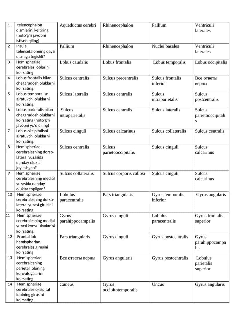 Telencephalon qismlari bo'yicha test savollari 1