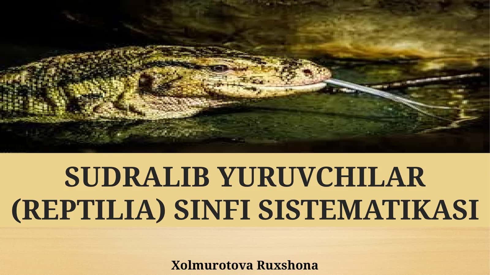 SUDRALIB YURUVCHILAR (REPTILIA) SINFI SISTEMATIKASI 1