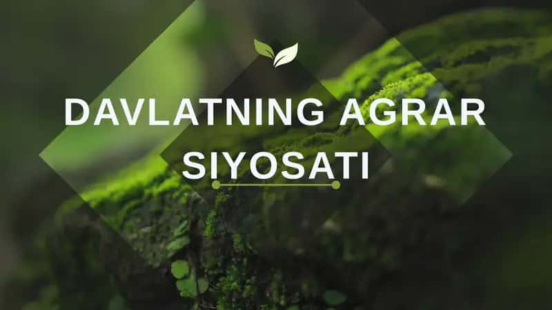 DAVLATNING AGRAR SIYOSATI 1