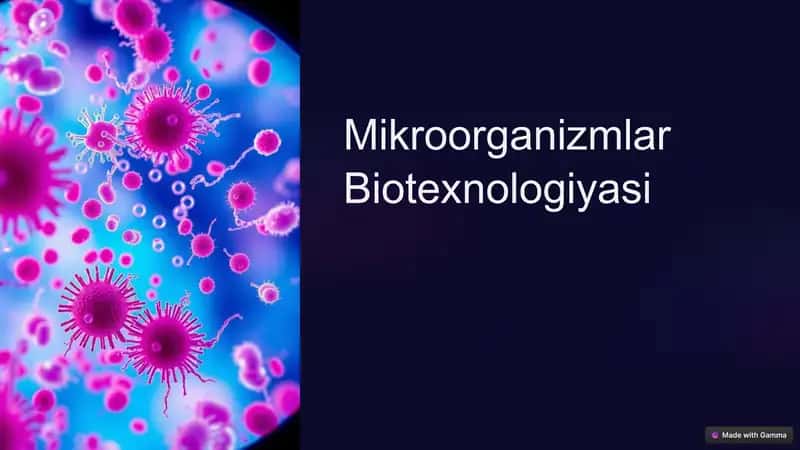 Mikroorganizmlar Biotexnologiyasi 1