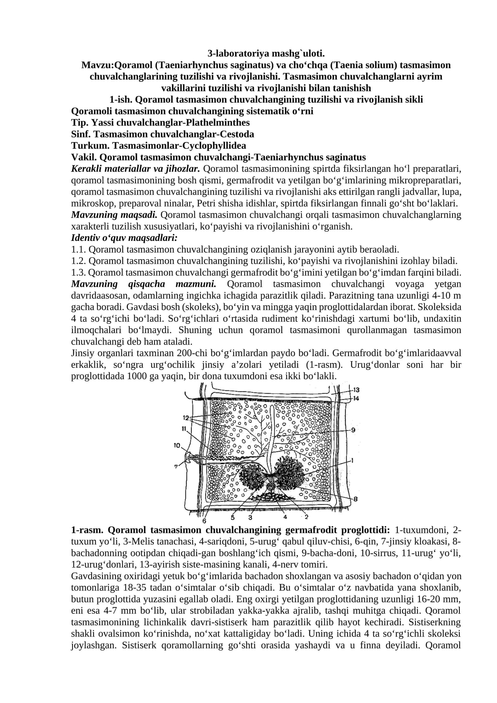 Qoramol (Taeniarhynchus saginatus) va cho'chqa (Taenia solium) tasmasimon chuvalchanglarning tuzilishi va rivojlanishi 1