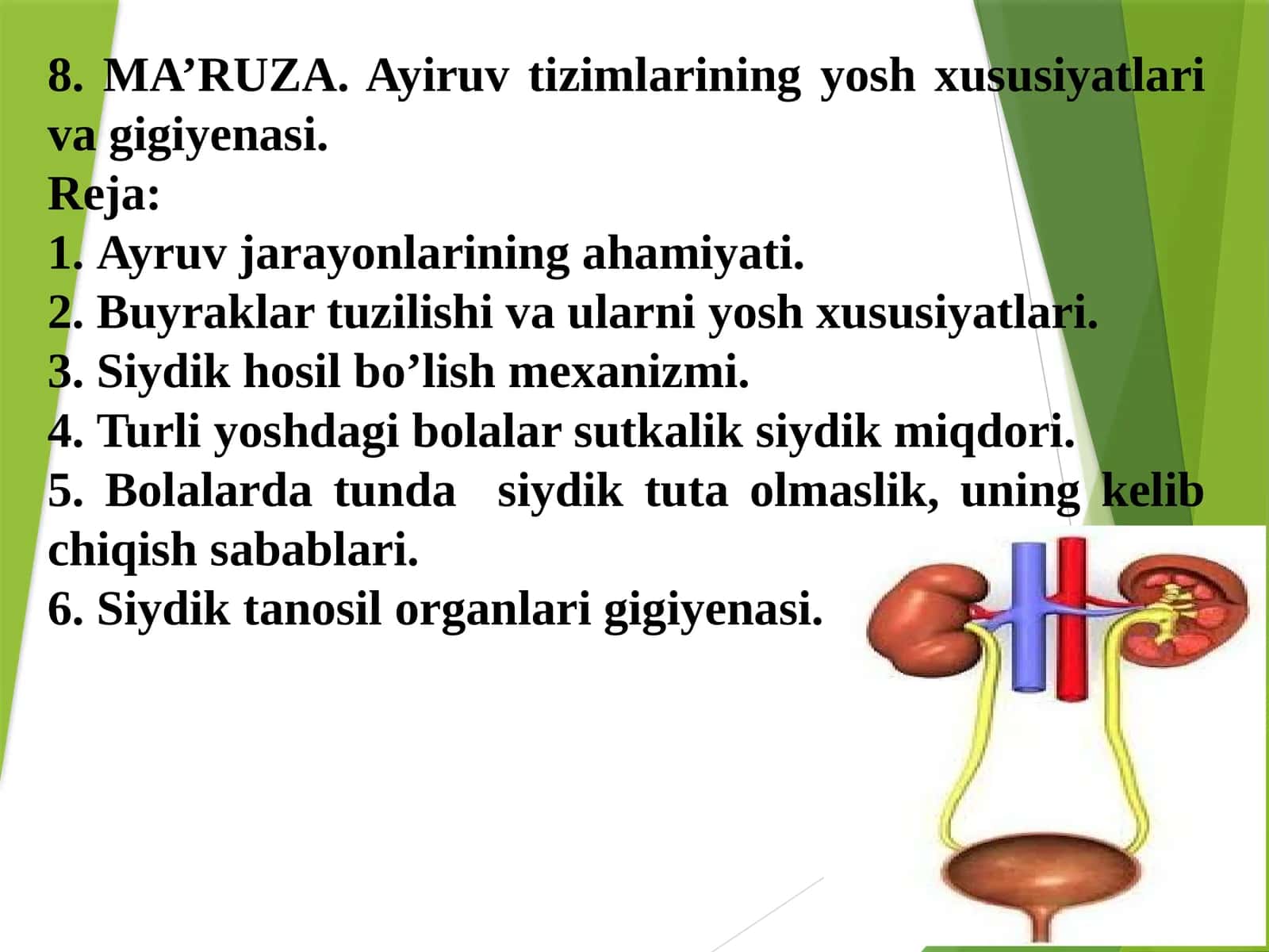 Ayiruv tizimlarining yosh xususiyatlari va gigiyenasi 1