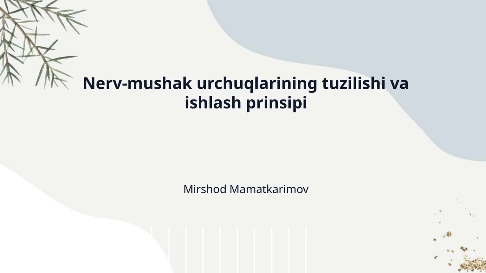 Nerv-mushak urchuqlarining tuzilishi va ishlash prinsipi 1
