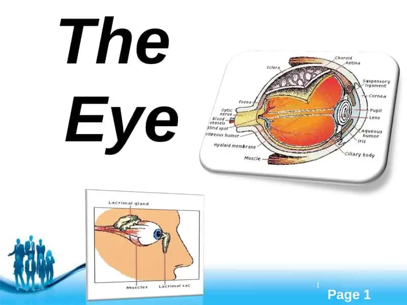 The Eye 1