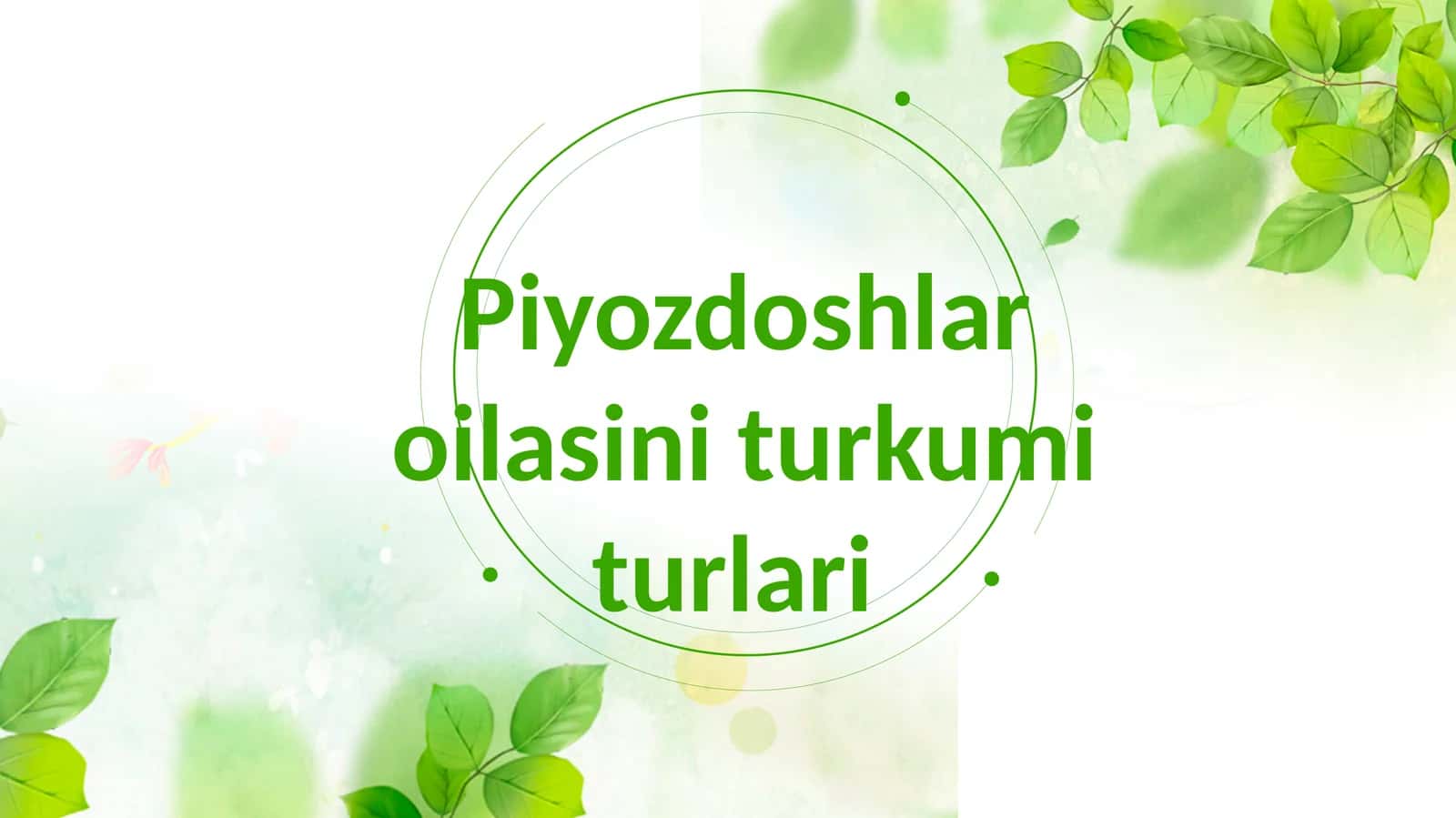 Piyozdoshlar oilasi turkum turlari 1