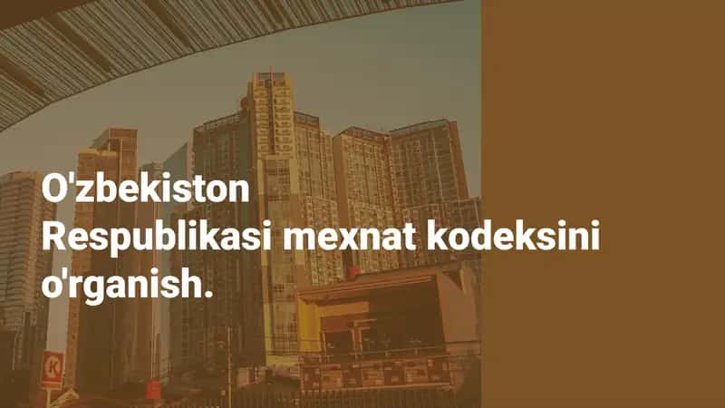 Mehnat Kodeksi 1