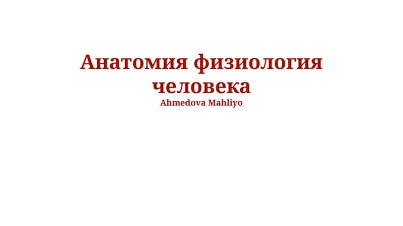 Анатомия физиология человека 1