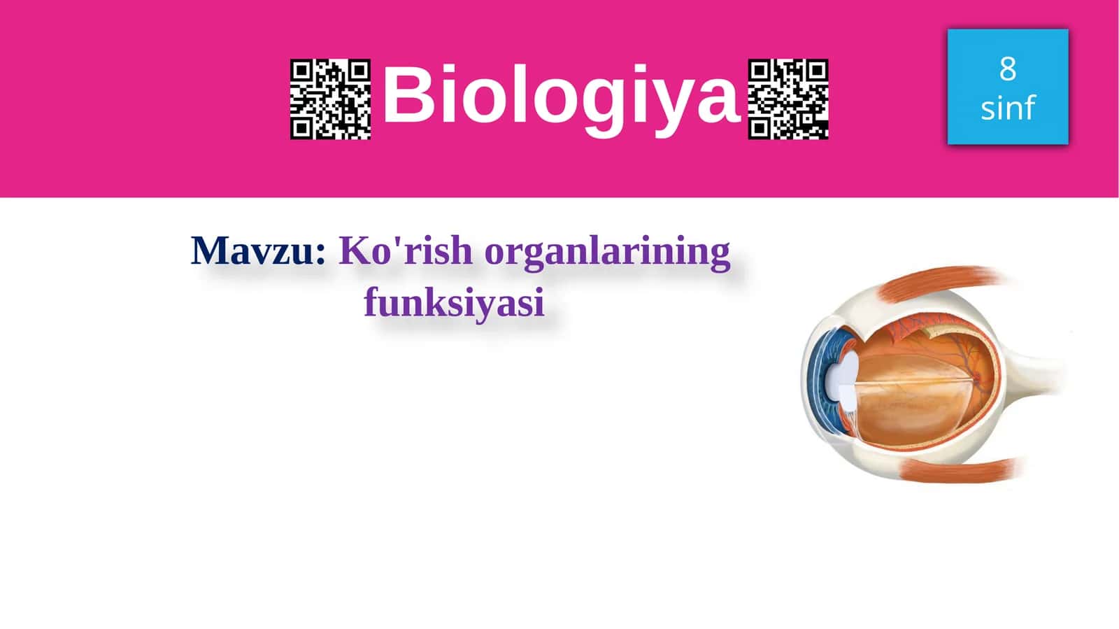 Ko'rishorganlarining funksiyasi 1