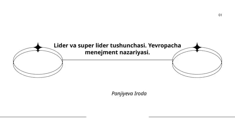 Lider va super lider tushunchasi. Yevropacha menejment nazariyasi. 1