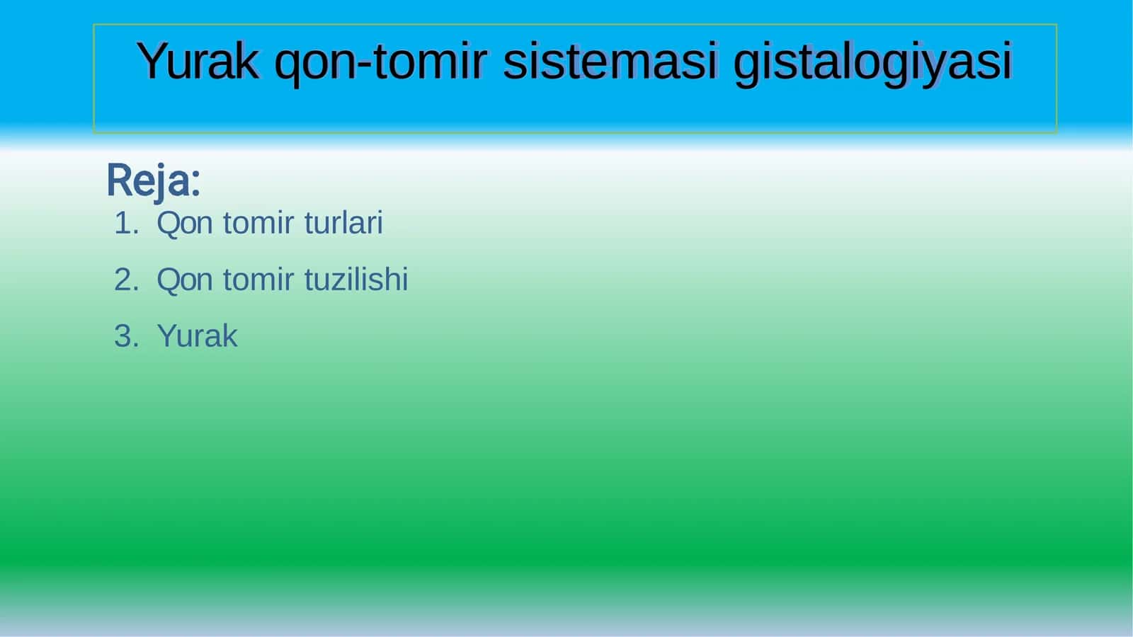Yurakqon-tomirsistemasigistalogiyasi 1
