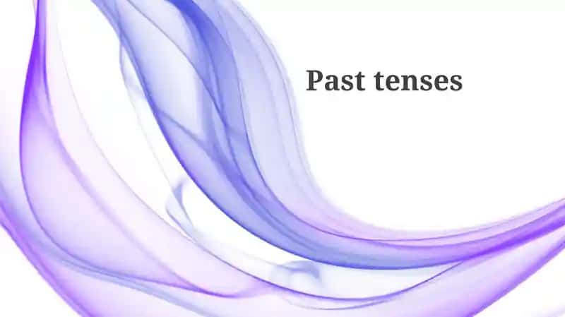 Understanding the Past: Forms and Functions