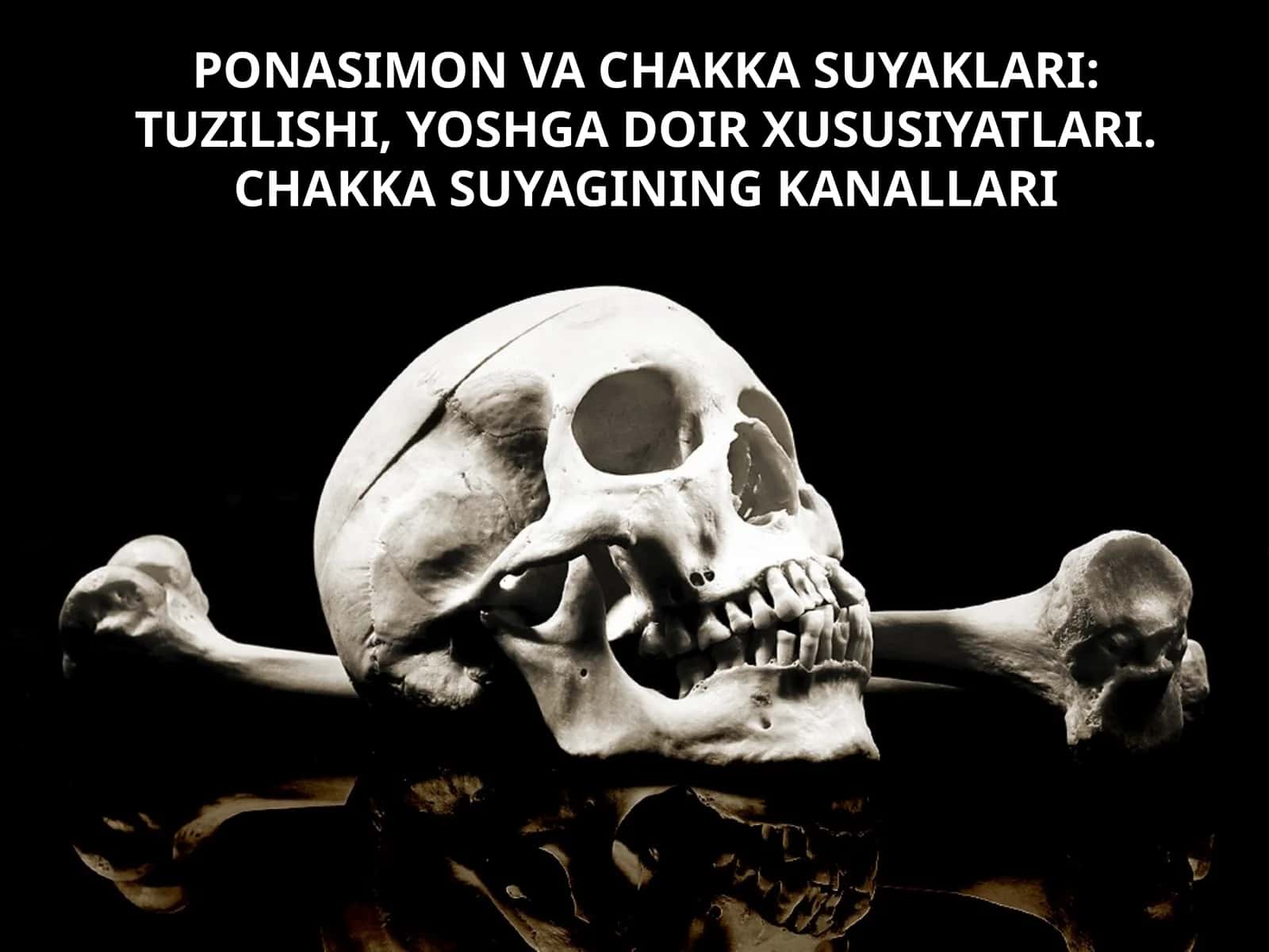 PONASIMON VA CHAKKA SUYAKLARI: TUZILISHI, YOSHGA DOIR XUSUSIYATLARI. CHAKKA SUYAGINING KANALLARI 1