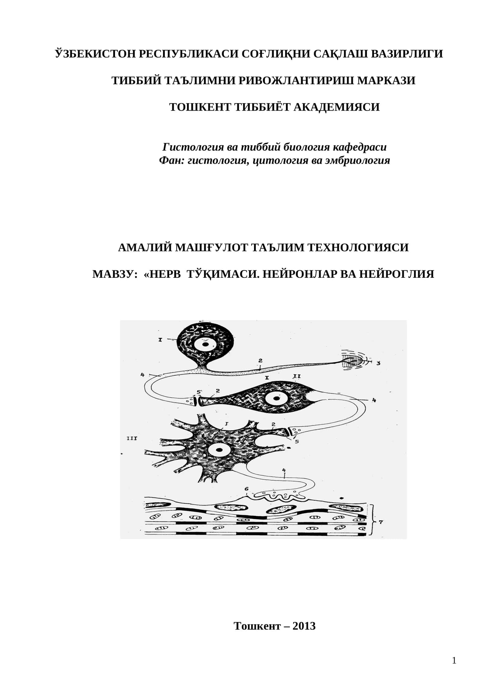НЕРВ ТЎҚИМАСИ. НЕЙРОНЛАР ВА НЕЙРОГЛИЯ 1