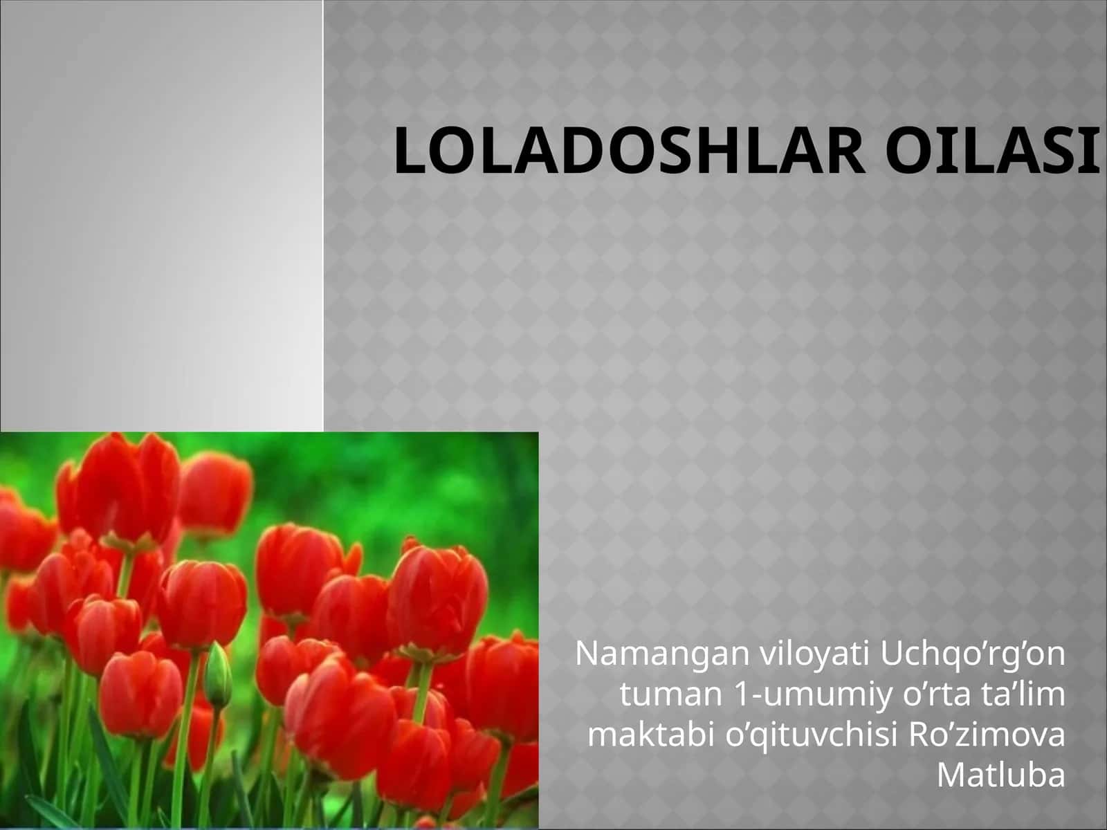Loladoshlar oilasi 1