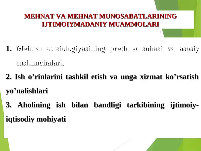 MEHNAT VA MEHNAT MUNOSABATLARINING IJTIMOIYMADANIY MUAMMOLARI 1
