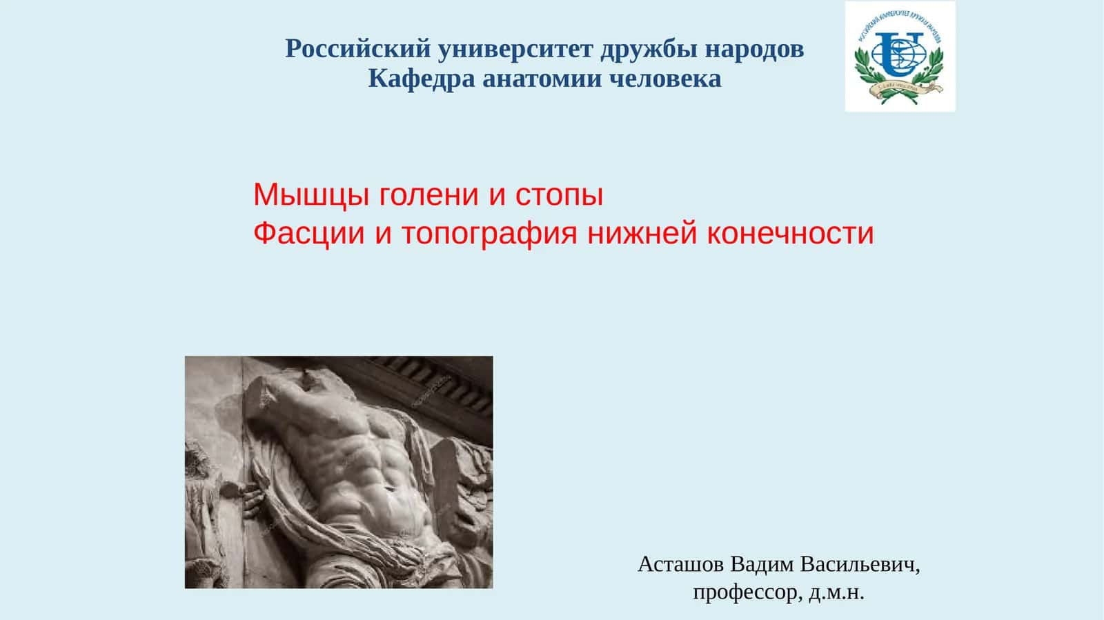 Мышцы голени и стопы 1