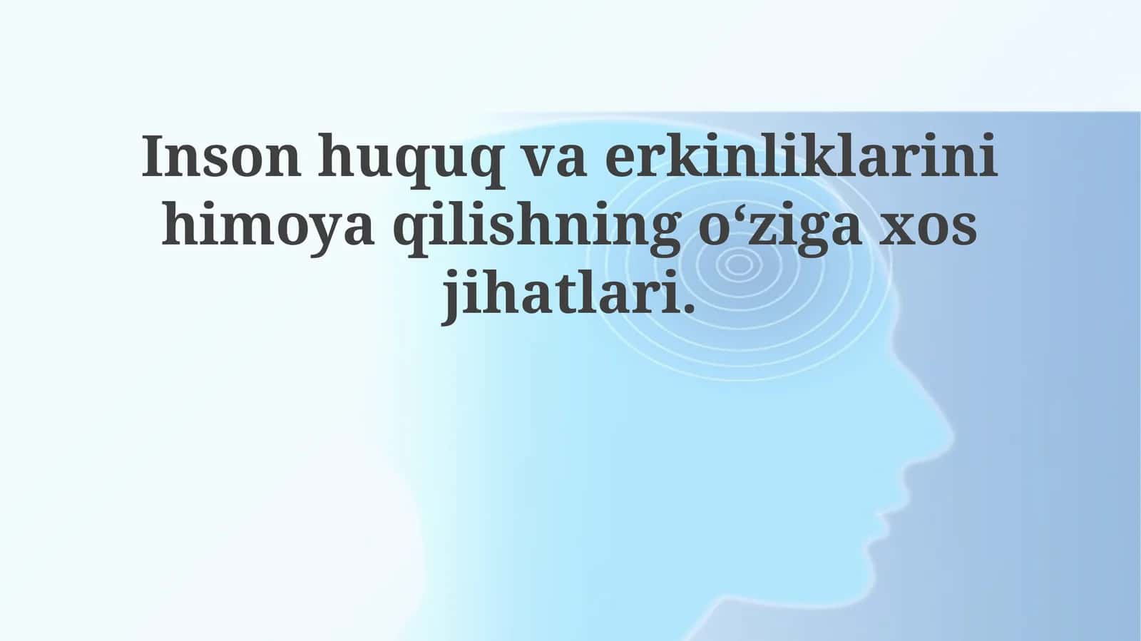 Inson huquqlari va erkinliklarini himoya qilishning o'ziga xos jihatlari 1